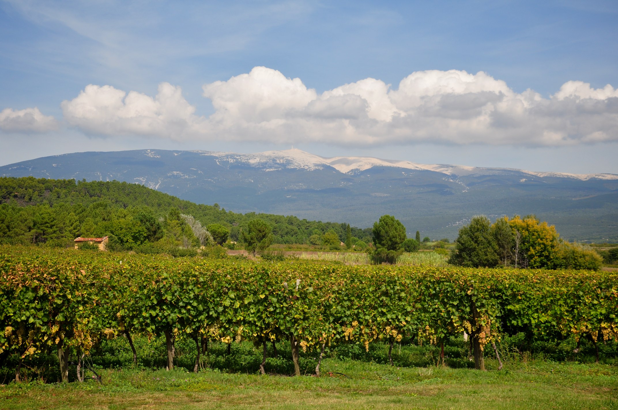Provence Graveson | Vlaamse kampeer toeristen