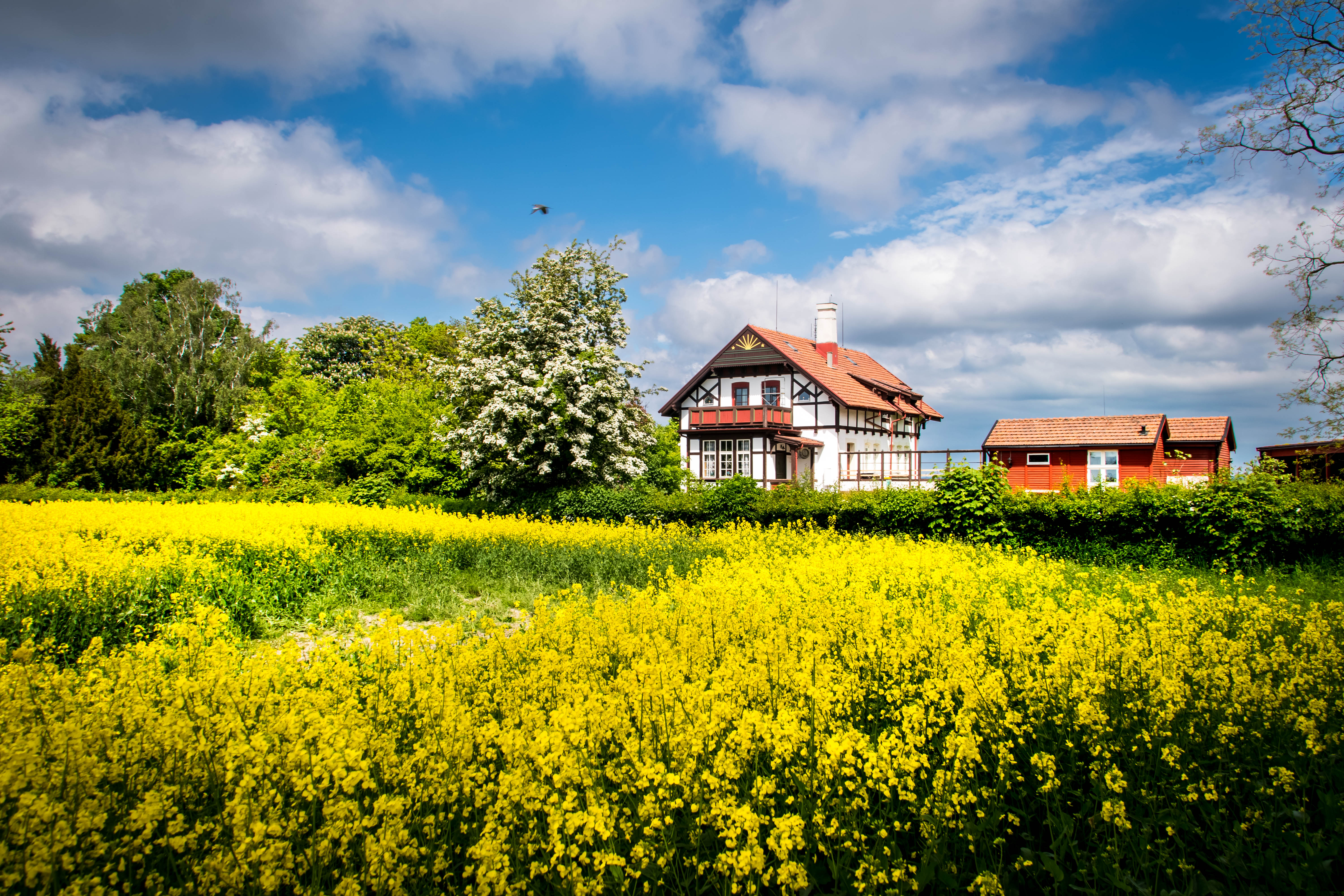 Zweden