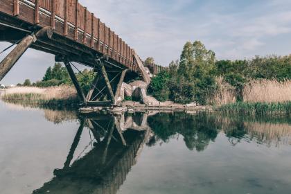 Oscar Under The Bridge©Martin Heiberg