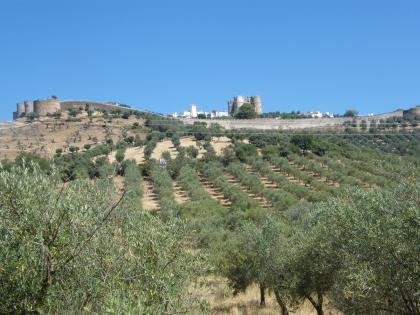 landschap Évora