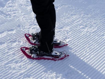 sneeuwschoenen